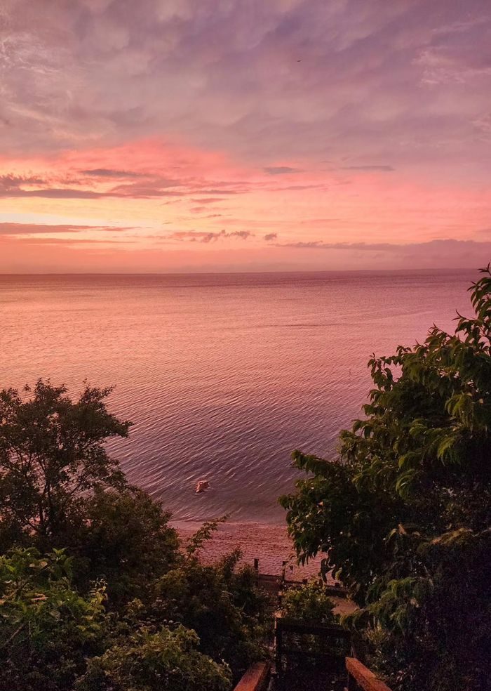 Pink and lavender sunset framed by trees above the stairs